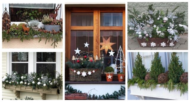 BeFunky-collage (2)