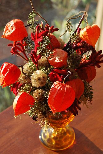 Vytvořte si úžasné dekorace z mochyně: 31+ krásných nápadů na podzimní měsíce, která nestojí téměř nic! Vytvořte si úžasné dekorace z mochyně: 31+ krásných nápadů na podzimní měsíce, která nestojí téměř nic!
