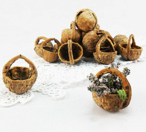 Tvoření z ořechů a ořechových skořápek: 25+ překrásných dekorací, které si můžete vytvořit! Tvoření z ořechů a ořechových skořápek: 25+ překrásných dekorací, které si můžete vytvořit!