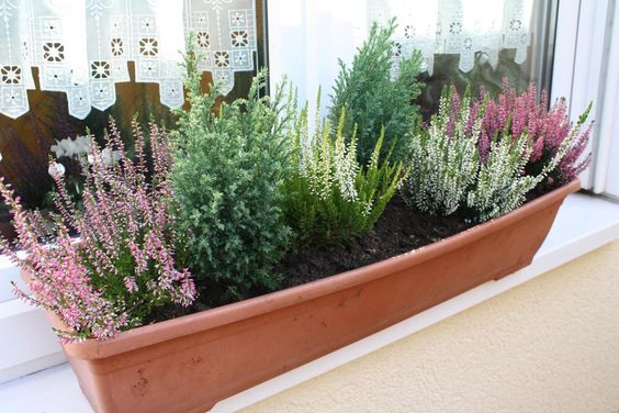Vytvořte si krásné podzimní truhlíky: 30+ nápadů na parapety, balkóny a terasy! Vytvořte si krásné podzimní truhlíky: 30+ nápadů na parapety, balkóny a terasy!