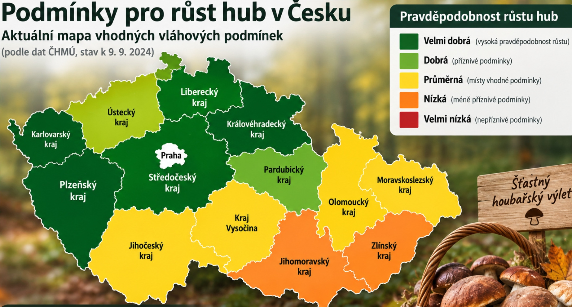 Mapa warunków grzybowych w Polsce – nie wszędzie rosną grzyby